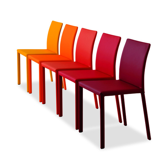 kiris_7.jpg