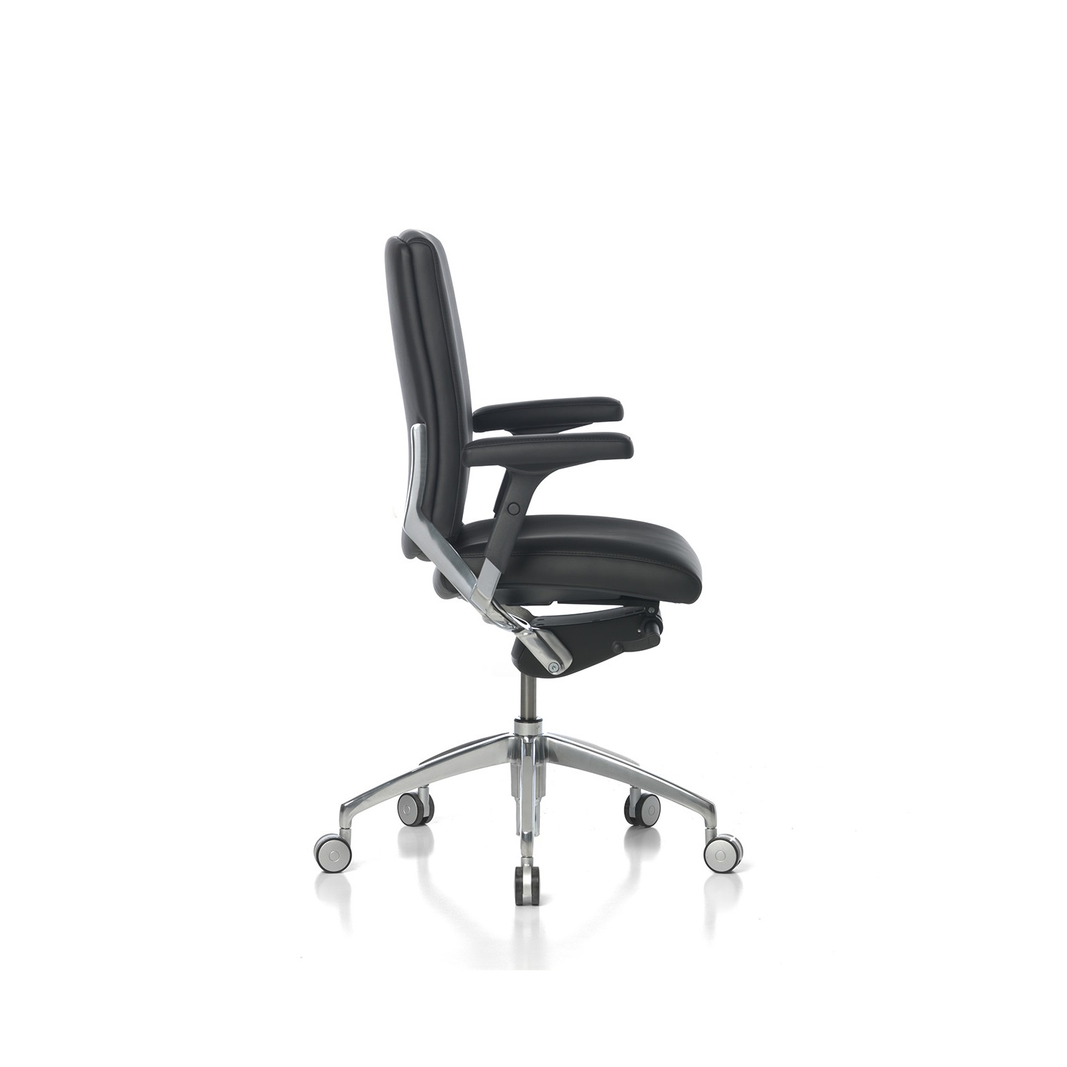black_or_white_low_back_4.jpg