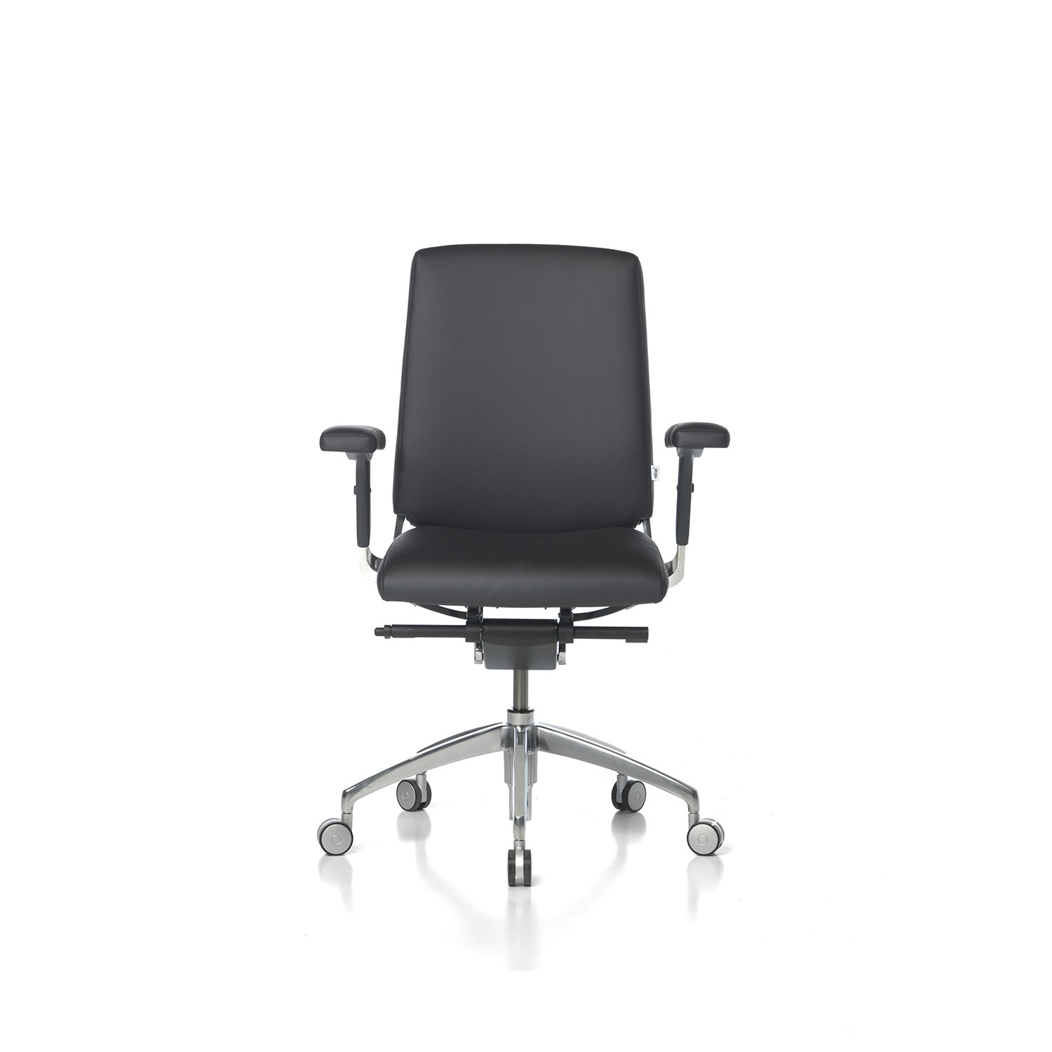 black_or_white_low_back_2.jpg