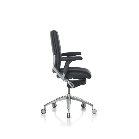 black_or_white_low_back_4.jpg