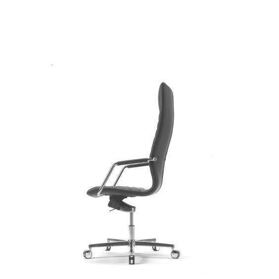tempo_high_4.jpg
