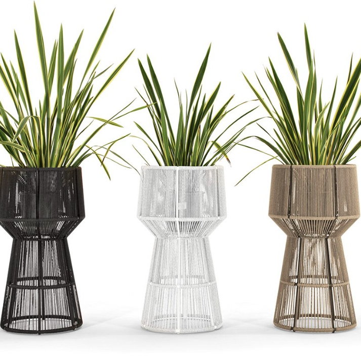 Cricket Planter