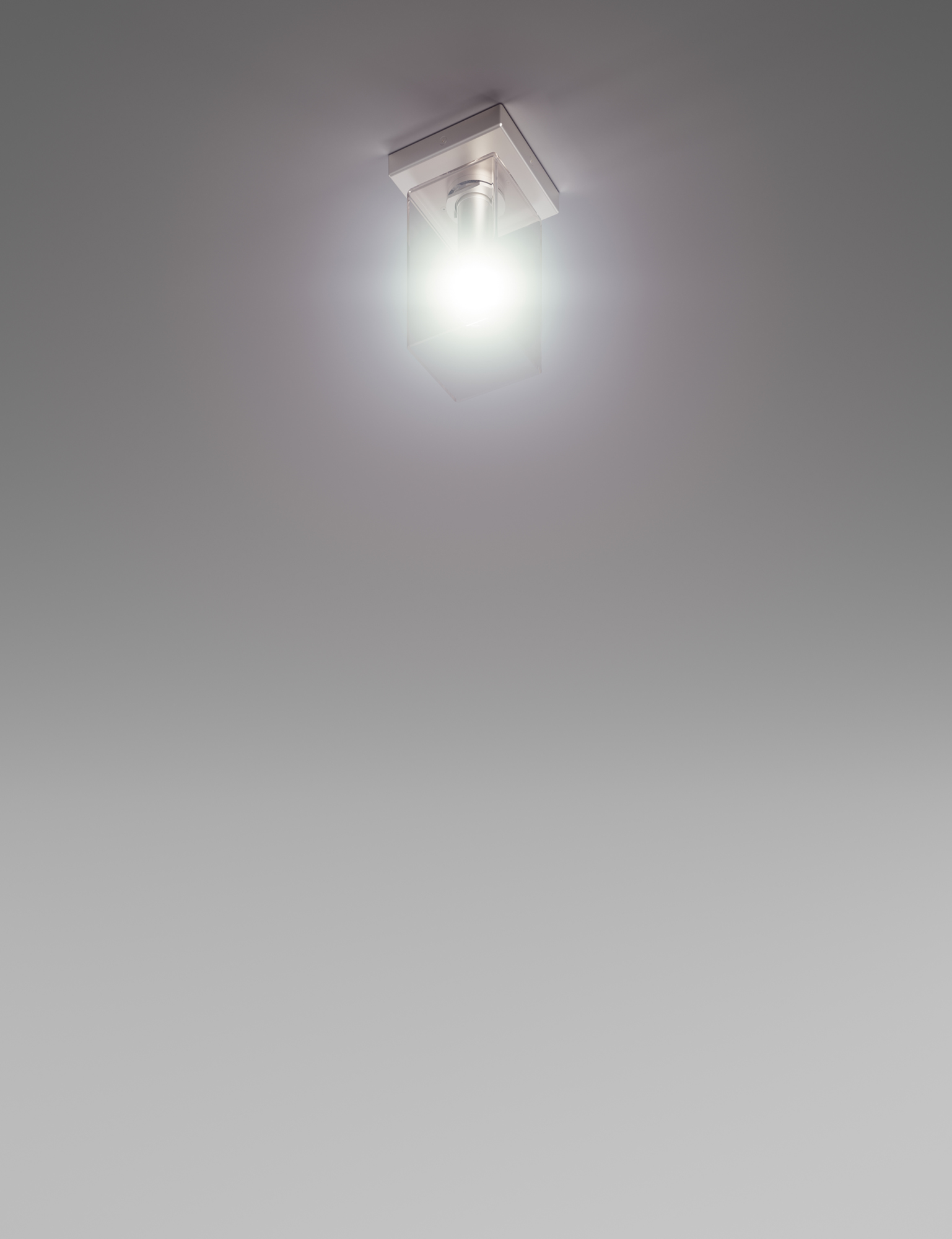 b5.jpg