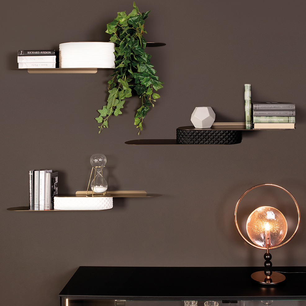 Snowboard Shelf